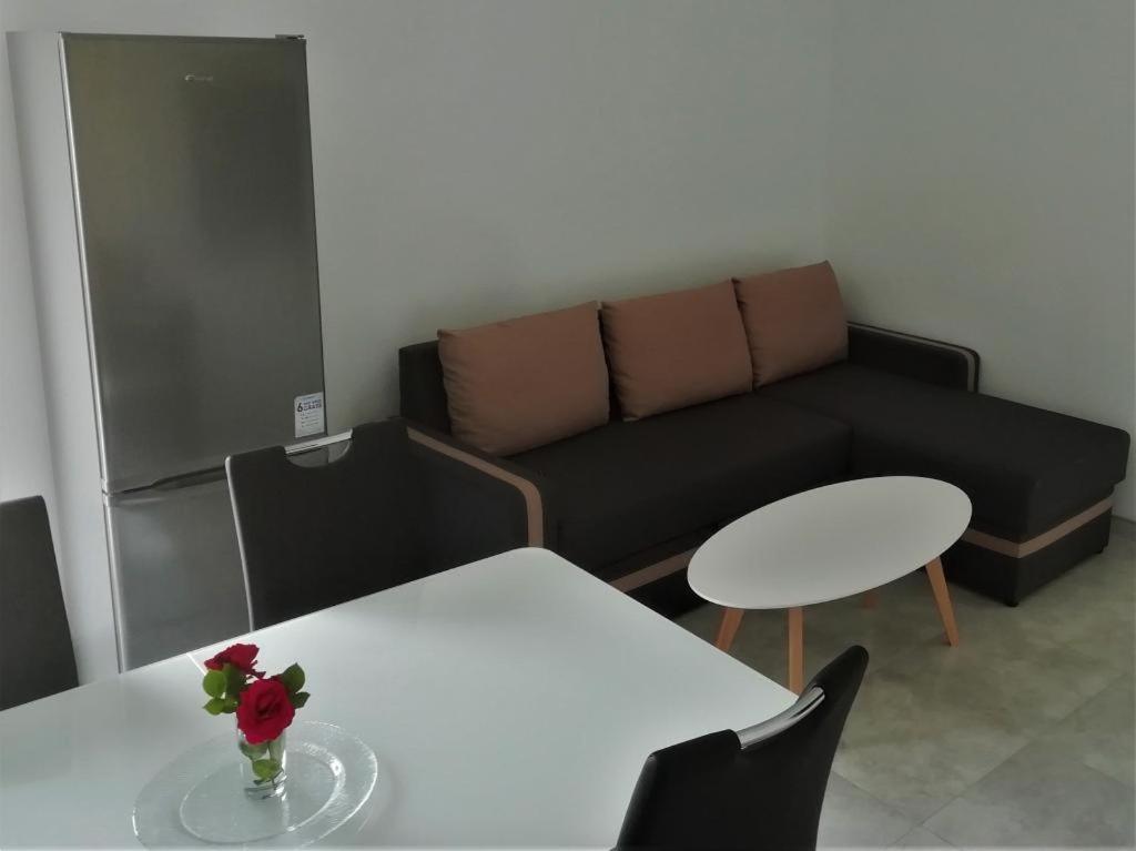 Apartment Zalo Donje Selo na Solti ภายนอก รูปภาพ